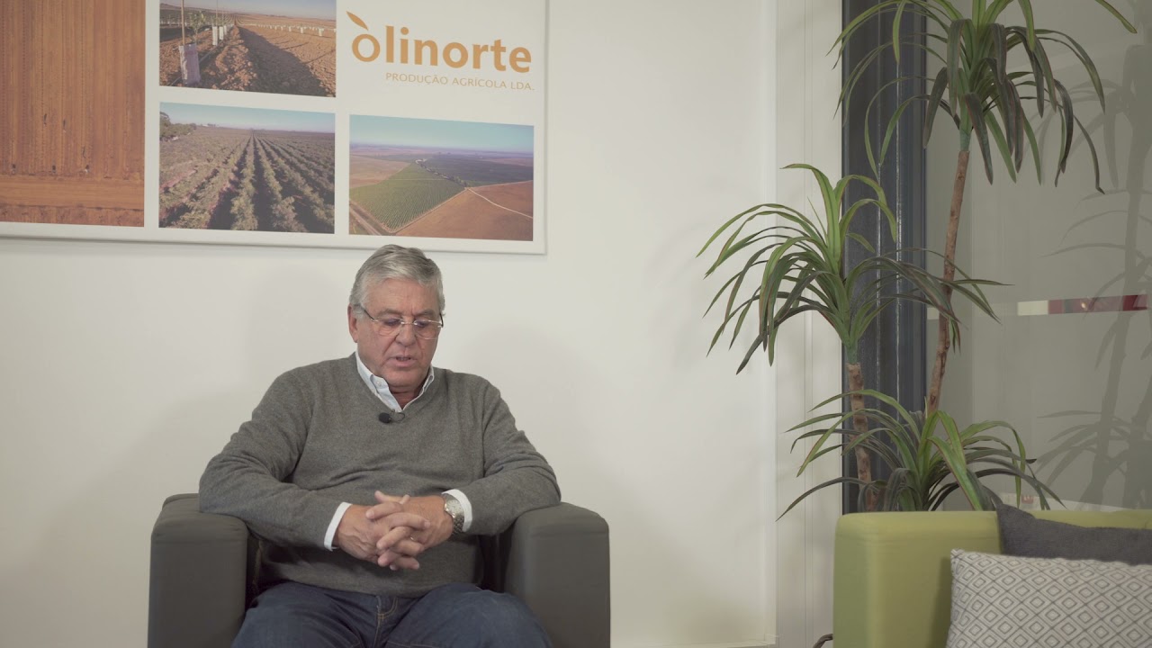 Olinorte consolida-se como referência na produção agrícola no Alentejo