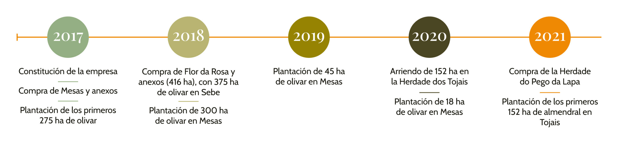 Líneas-de-tiempo-Español-1