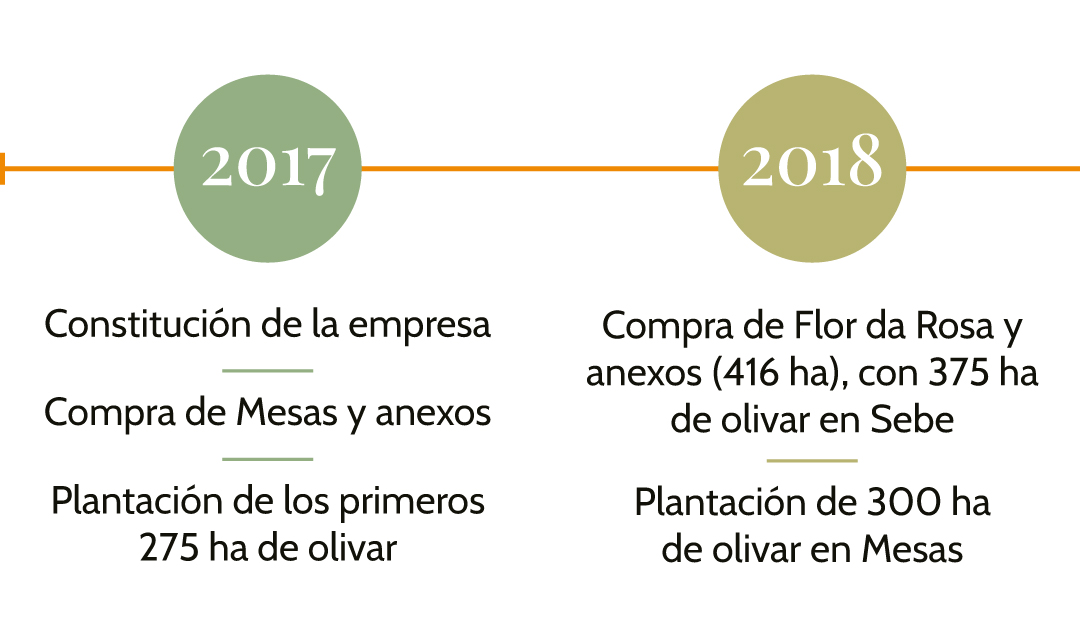 Líneas-de-tiempo-Español-1.1