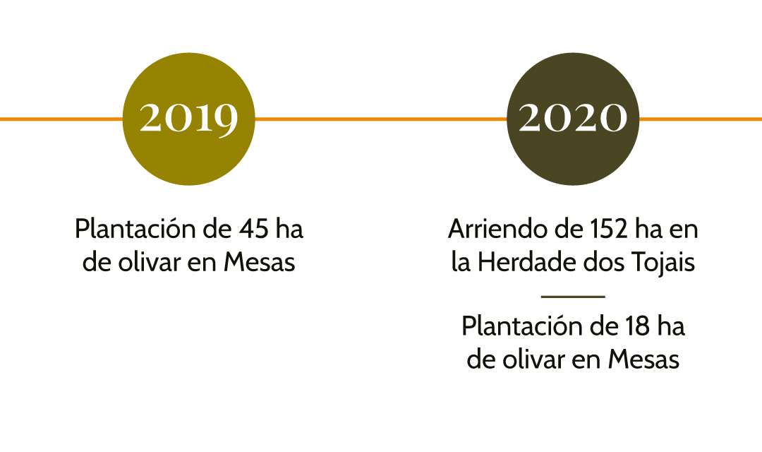 Líneas-de-tiempo-Español-1.2