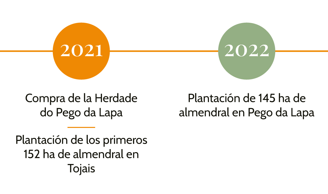 Líneas-de-tiempo-Español-1.3