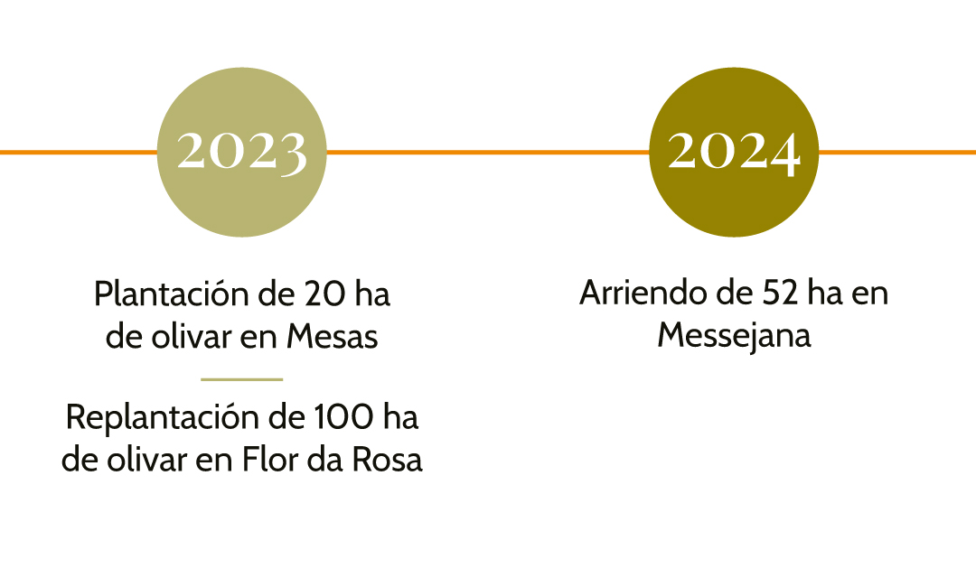 Líneas-de-tiempo-Español-1.4