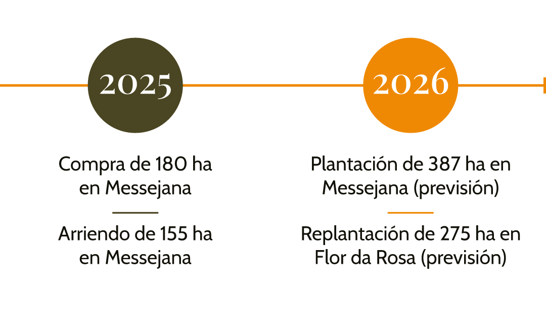 Líneas-de-tiempo-Español-1.5