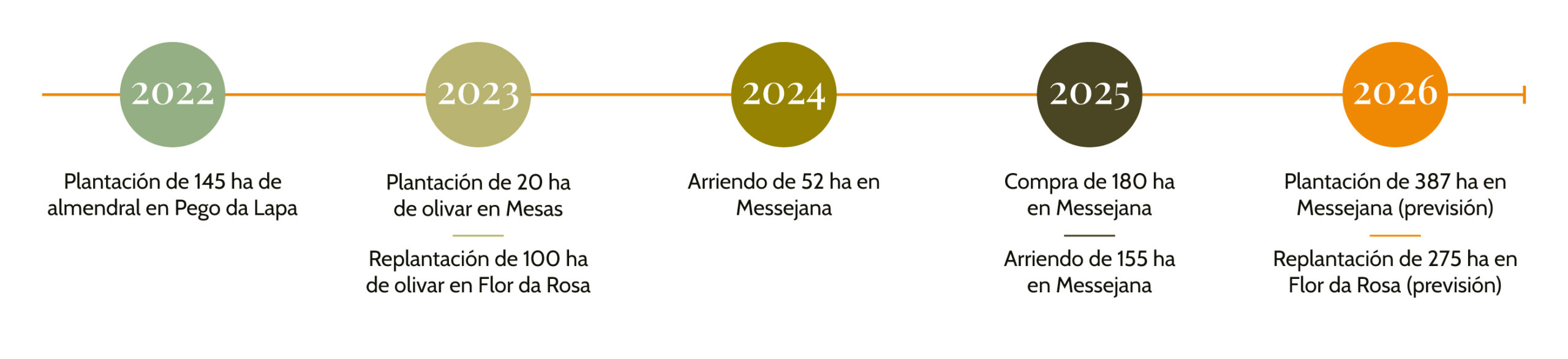 Líneas-de-tiempo-Español-2