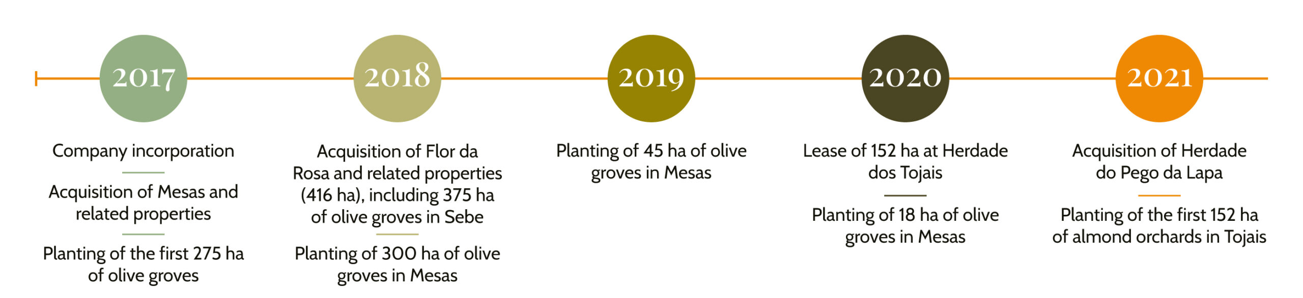 Líneas-de-tiempo-Inglés-1