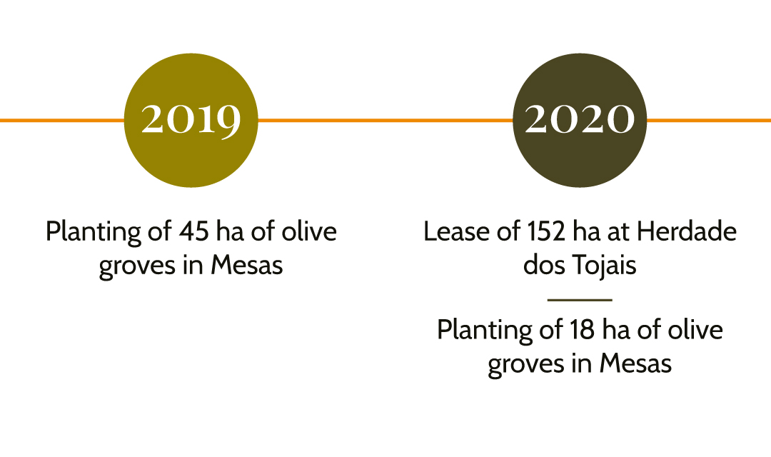 Líneas-de-tiempo-Inglés-1.2