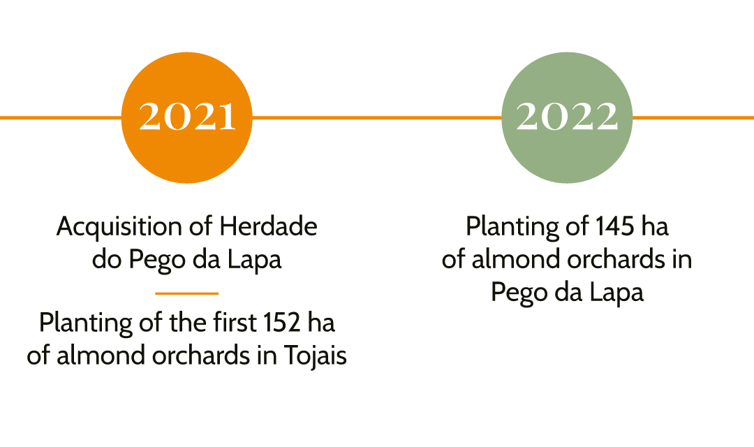 Líneas-de-tiempo-Inglés-1.3
