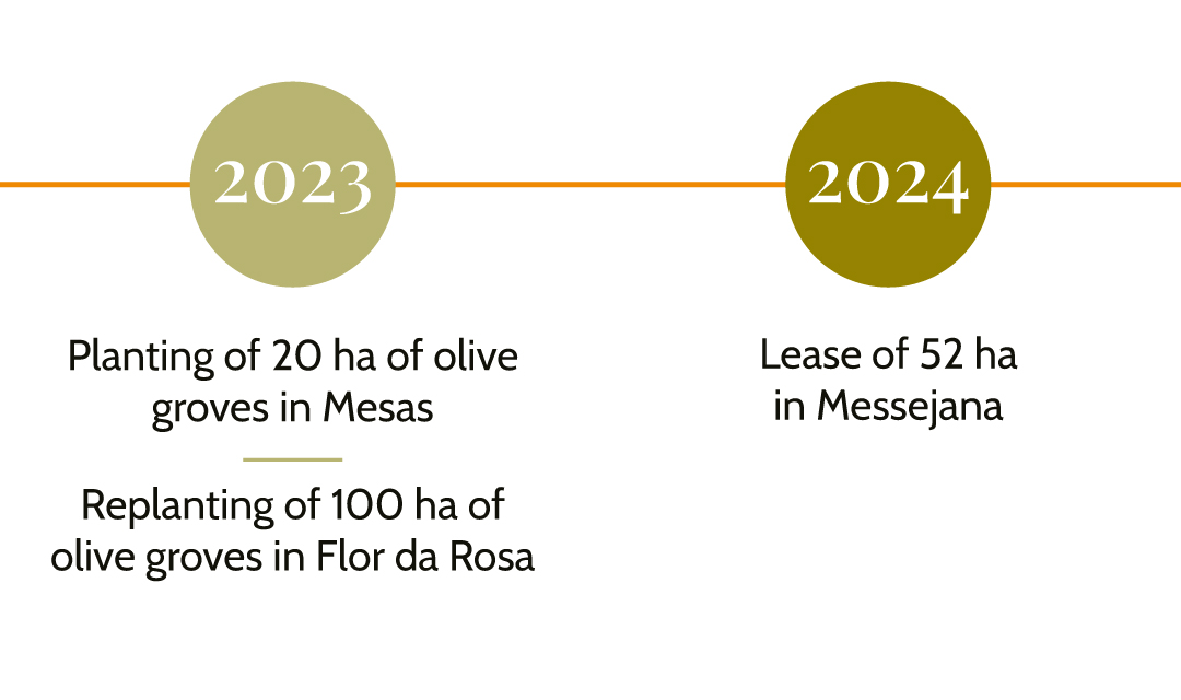 Líneas-de-tiempo-Inglés-1.4