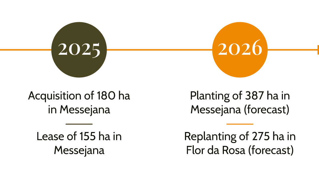 Líneas-de-tiempo-Inglés-1.5