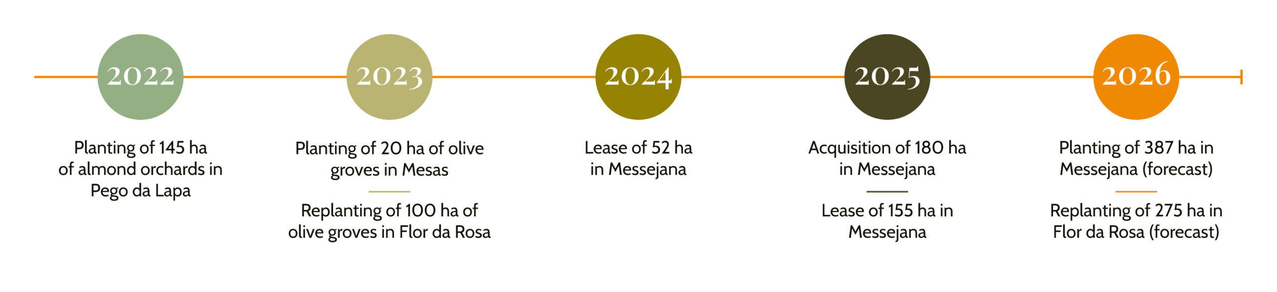 Líneas-de-tiempo-Inglés-2