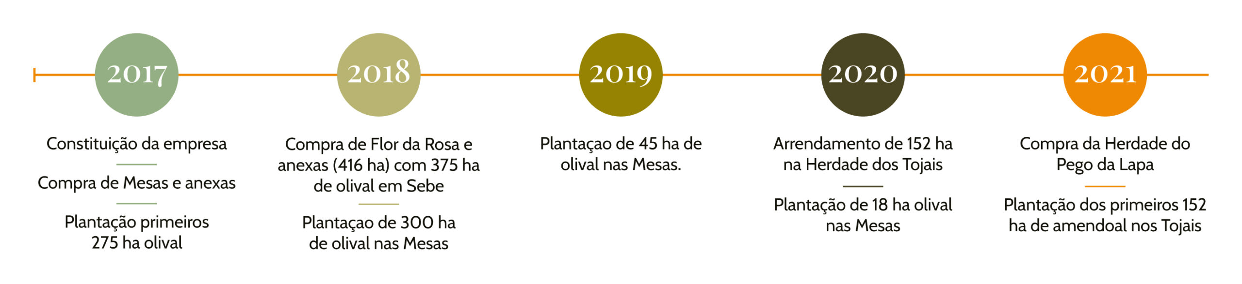 Olinorte---Historia-1