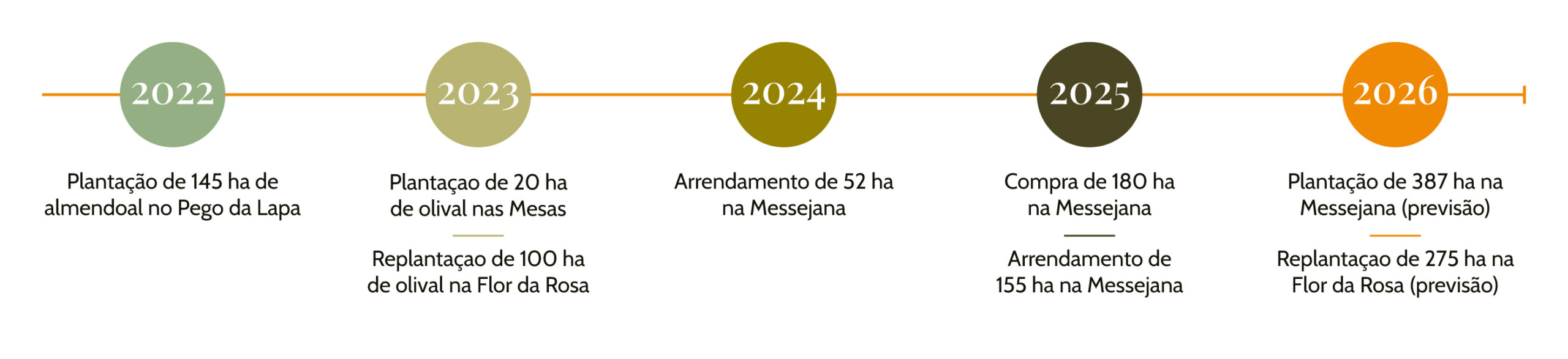 Olinorte---Historia-2