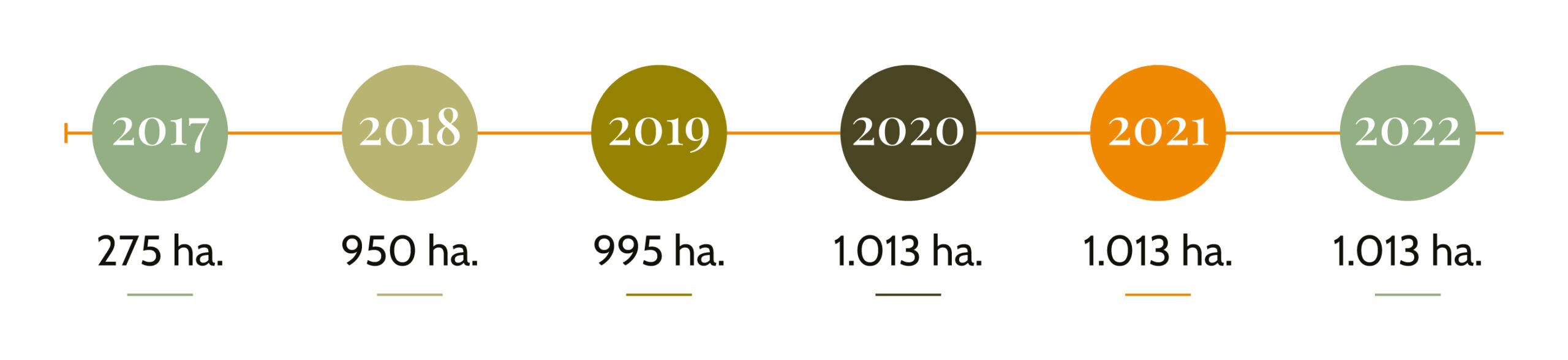 Olinorte---Prod.-Olivos-1