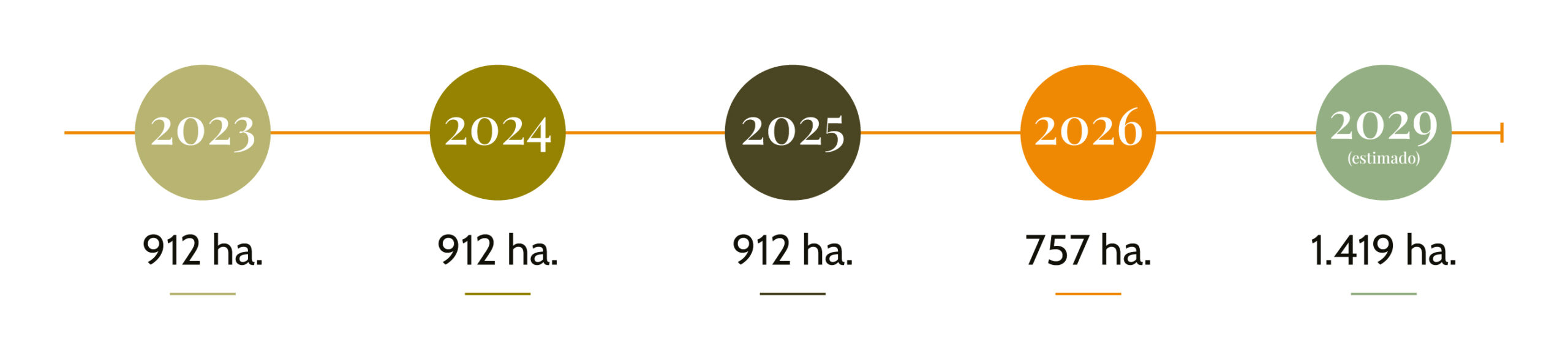 Olinorte-Prod.-Olivos-2